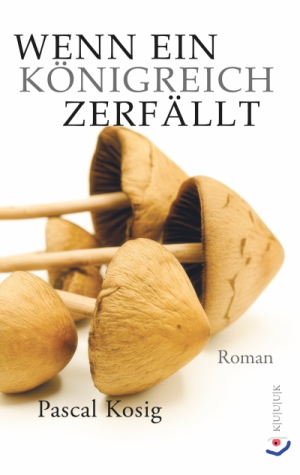 Cover Pascal Koenig Roman Wenn ein Koenigreich terfaellt ISBN 978-3-96290-050-2